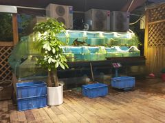 水产区-老宋家鱼馆(北滨路店)