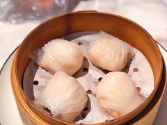 -伯衡55·吉品轩(乌鲁木齐南路店)