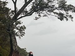 -抚仙湖禄充风景区