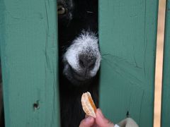 -南京金牛湖风景区