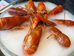 -红盔甲·小龙虾(人民广场店)