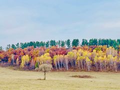 -塞罕坝国家级自然保护区