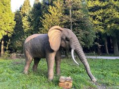 -武陵山森林公园