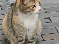 -清晏园