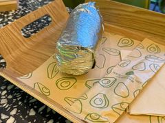 -油梨树AVOCADO TREE(顺义新国展店)