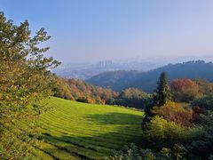 -敬亭山风景名胜区