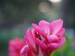 -人民公园(罗湖区)