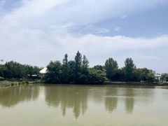 -西安浐灞国家湿地公园