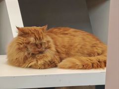 -天虹购物中心(深圳龙华店)