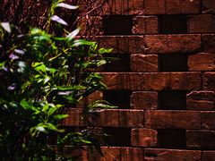 -君悦酒店·1881·北京烤鸭