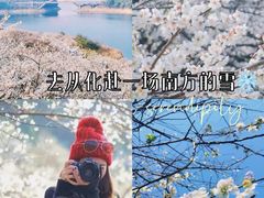 -广州市流溪河国家森林公园