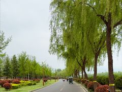 -洨河生态公园