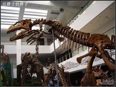 -中国地质大学逸夫博物馆