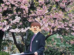 -南山植物园
