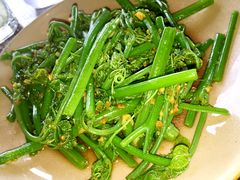 -Cau Go Vietnamese Cuisine