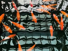 -观唐（国际）度假村温泉