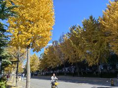 -中国政法大学(昌平校区)