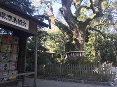 -热田神宫