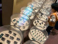 -陕西自然博物馆