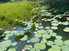 -仙店农庄(湖景农庄餐厅)