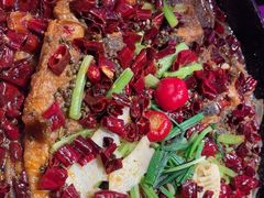 -老板恋上鱼(恒隆广场店)