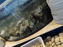 -海天盛宴新派海鲜自助餐厅(群力店)