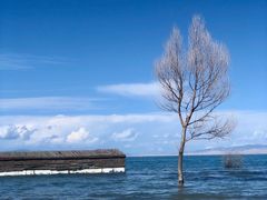-青海湖国家重点风景名胜区