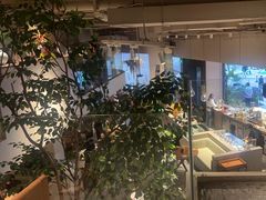 -KimPro 辛普乐概念韩餐