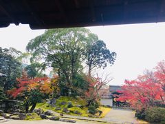 -醍醐寺