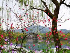 -西湖游船