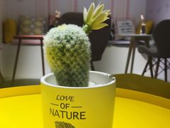 -甛时(咸奶油特色店)