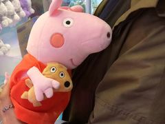 -PAWTOY爪e玩偶店(天兴罗斯福店)