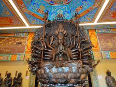 -乐山乌木文化博览苑