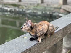 -西园寺