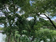 -新江湾城公园