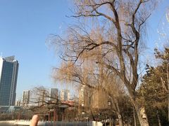 -迎泽公园