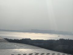 -深圳湾木棉花酒店