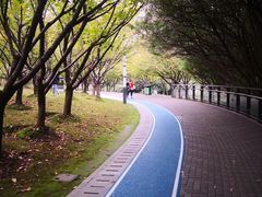 -苏州河梦清园环保主题公园