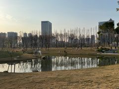 -后襄河公园