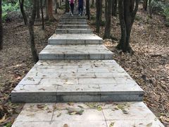 -火炉山森林公园