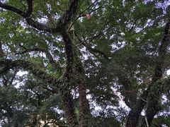 -桂林独秀峰王城景区