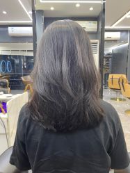 点击看大图 -藤野造型