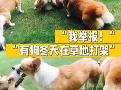 -幕燕滨江·燕子矶公园