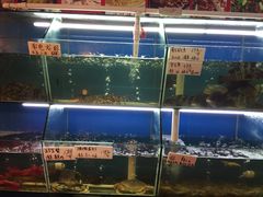 -鑫悦楼煎蟹·16年海鲜大排档