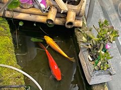 -暮晚尘香汉服旗袍