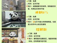 -春熙路步行街