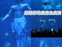 -华夏文旅海洋公园