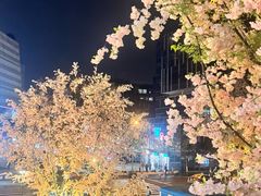 -南里山房(虹桥新天地店)