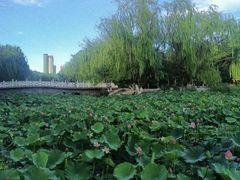 -满都海公园