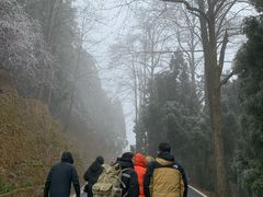 -南岳衡山风景名胜区